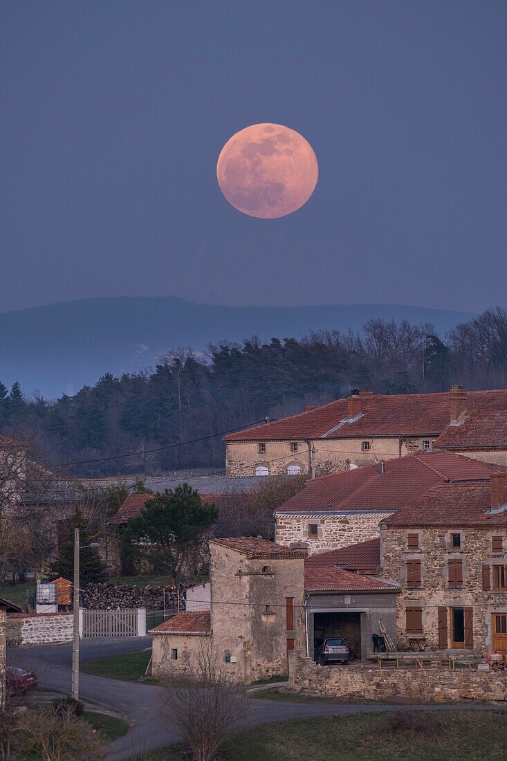 Frankreich,Puy de Dome,Egliseneuve pres Billom,Weiler Les Pierrys bei Vollmond,Regionalpark Livradois Forez