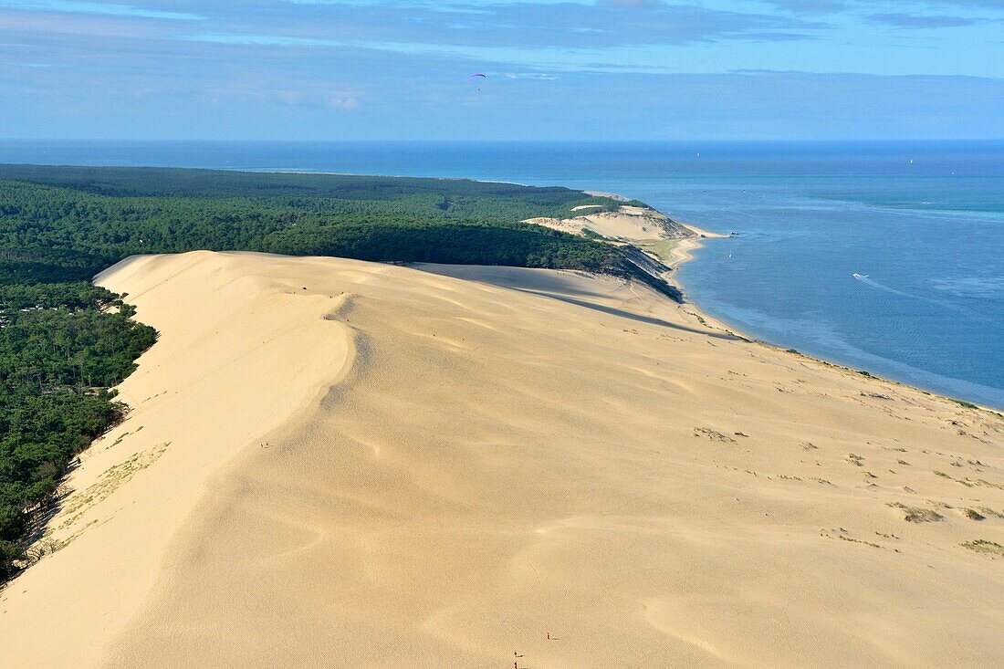 France,Gironde,Bassin d'Arcachon,La Teste de Buch,the Dune du Pyla (the Great Dune of Pyla) and Banc d'Arguin nature reserve