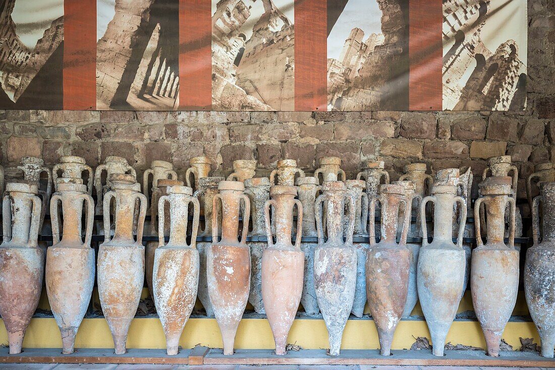 France,Var,Saint-Raphaël,archaeological museum,Roman amphora found towards the Dramont