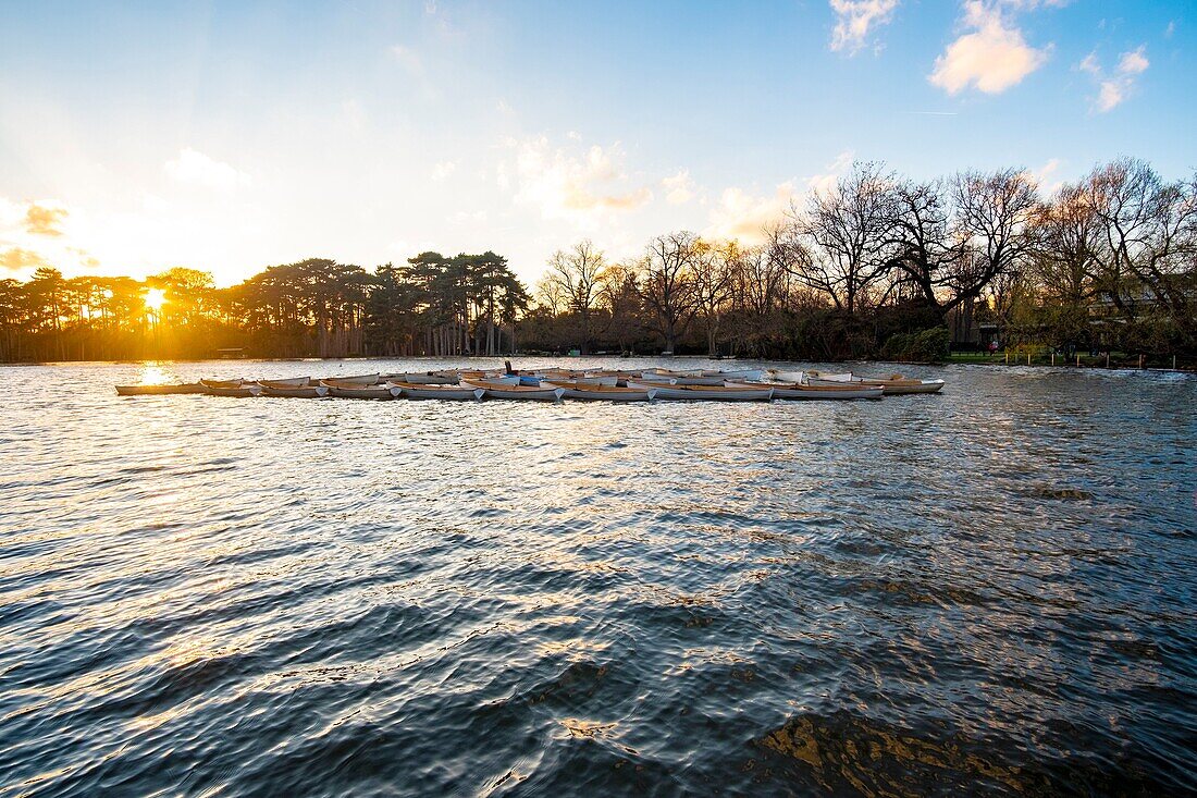 France,Paris,the Bois de Vincennes,Daumesnil Lake