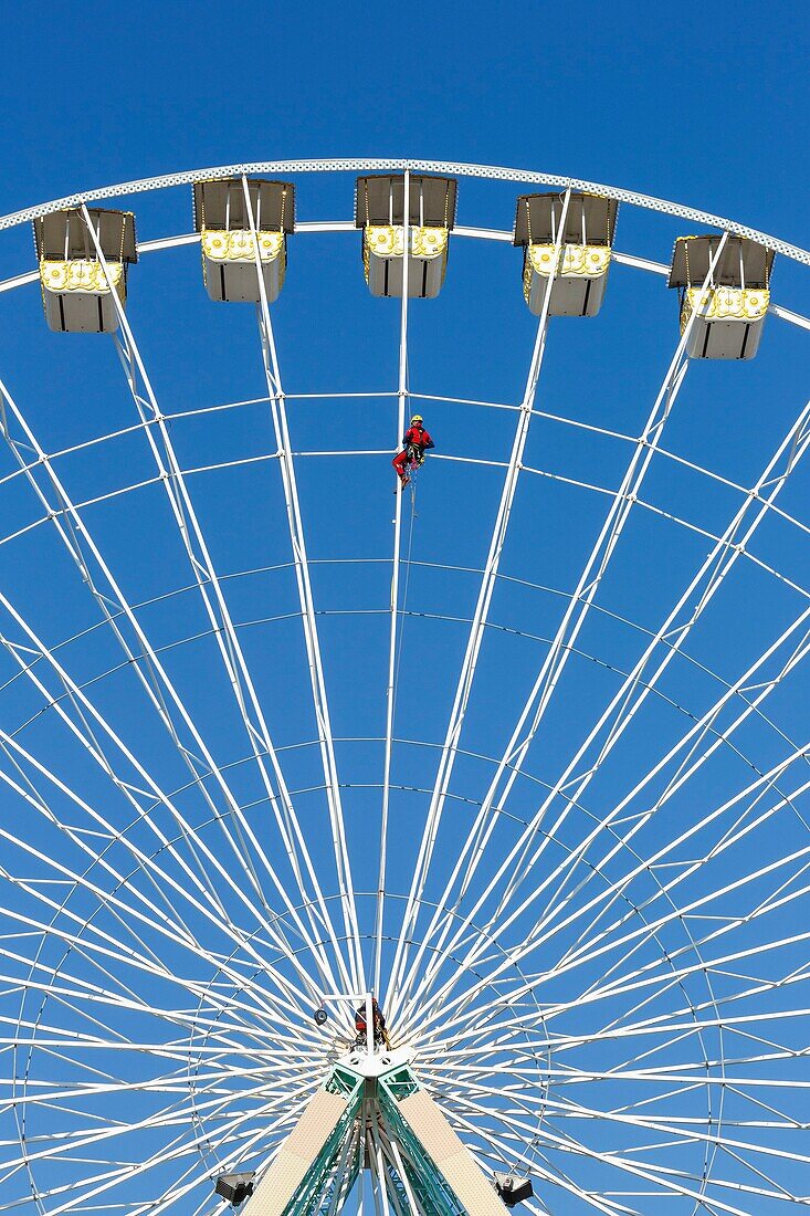 Frankreich,Meurthe et Moselle,Nancy,Grande Roue (Riesenrad) der Foire Attractive de Nancy (Nancy attraktives Fest) in Cours Leopold