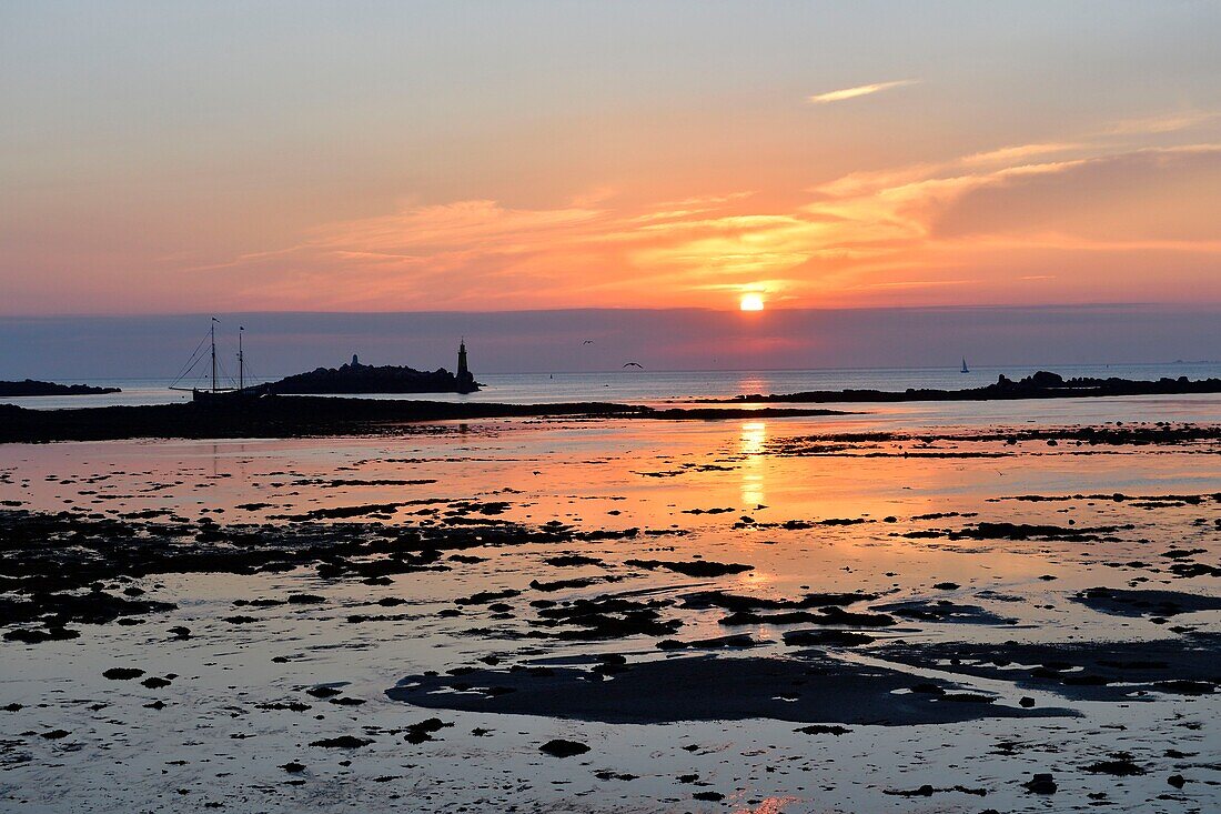 Frankreich,Finistere,Roscoff bei Ebbe