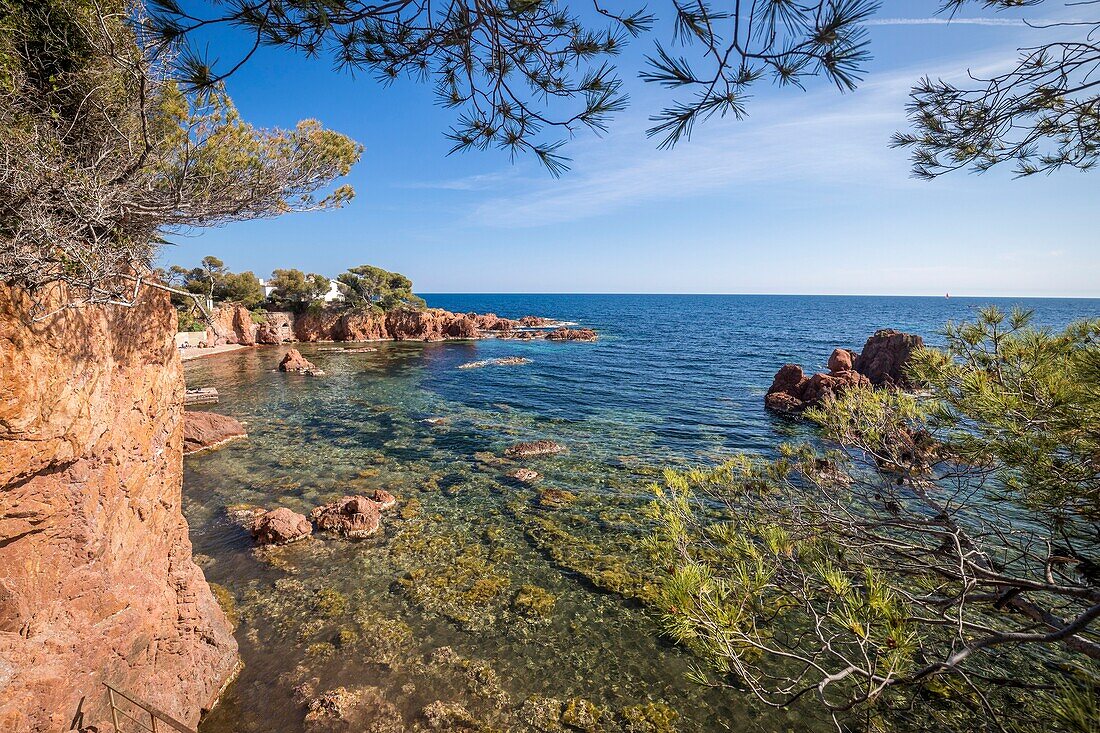 Frankreich,Var,Agay Gemeinde von Saint Raphael,Calanque des Anglais