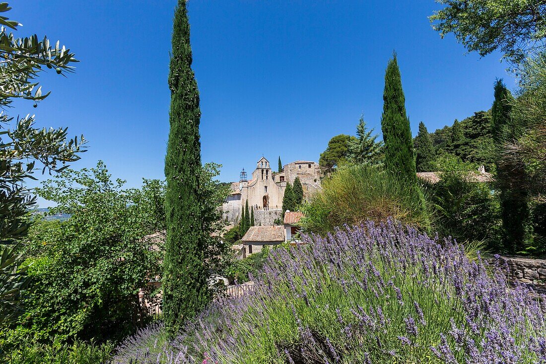 France,Vaucluse,village of Gigondas