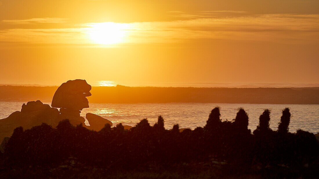 France,Finistere,Iroise Sea,Iles du Ponant,Parc Naturel Regional d'Armorique (Armorica Regional Natural Park),Ile de Sein,labelled Les Plus Beaux de France (The Most Beautiful Village of France),rock "le Sphinx" at sunset