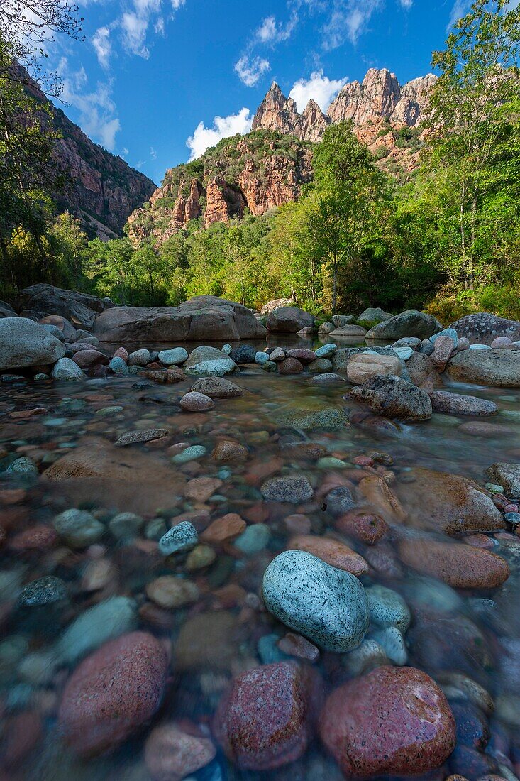 France,Corse du Sud,Spelunca Gorge near Porto