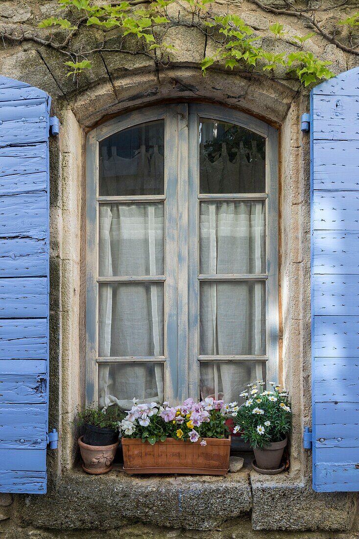 Frankreich,Vaucluse,Regionales Naturreservat des Luberon,Saignon