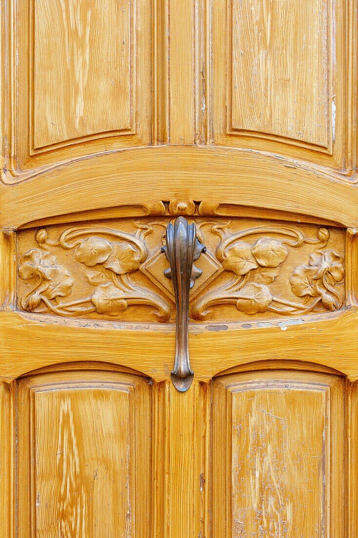 France,Meurthe et Moselle,Nancy,detail of an Art Nouveau door in Avenue Foch,house of chief inspector of rivers and forests Fernand Loppiret built in 1902 by architect Charles Desire Bourgon,sculpture by Auguste Vautrin,building listed as Ecole de Nancy (school of Nancy)