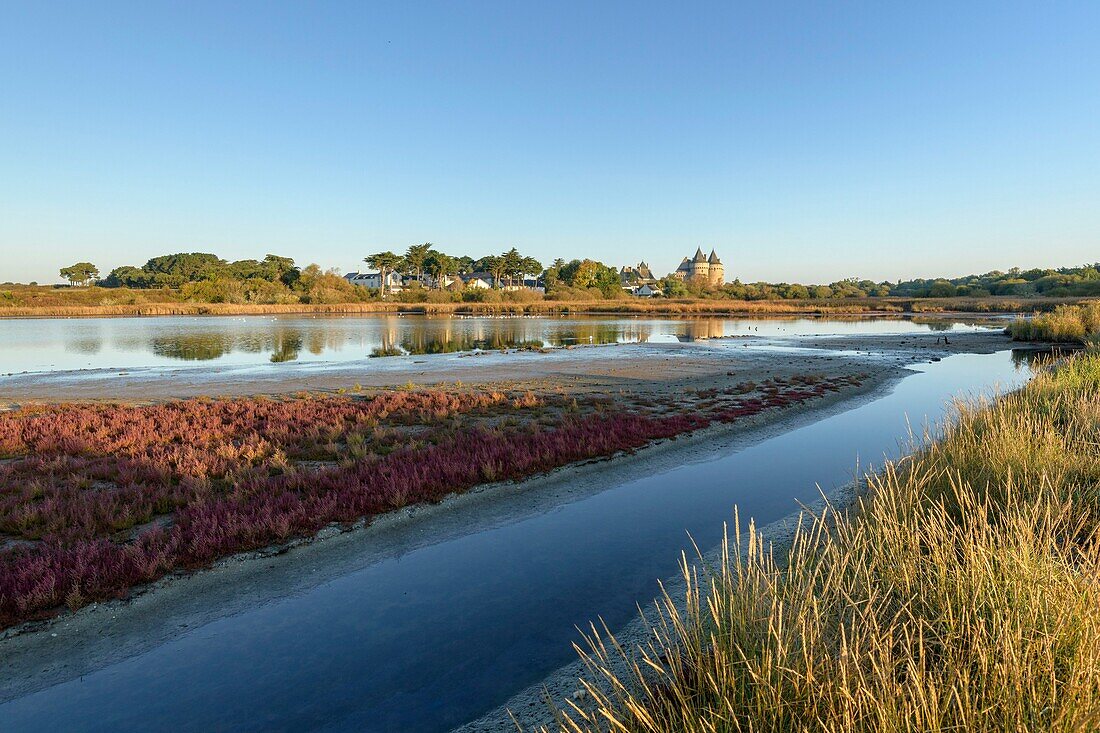 Frankreich,Morbihan,Sarzeau,die Sümpfe der Burg von Suscinio auf der Halbinsel von Rhuys bei Sonnenaufgang