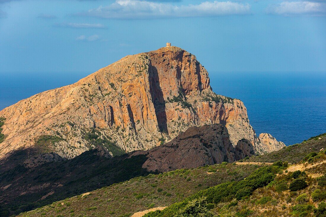 France,Corse du Sud,Gulf of Porto,listed as World Heritage by UNESCO,Capo Rosso and the Genoese Tower of Turghiu (Turghio) in the background