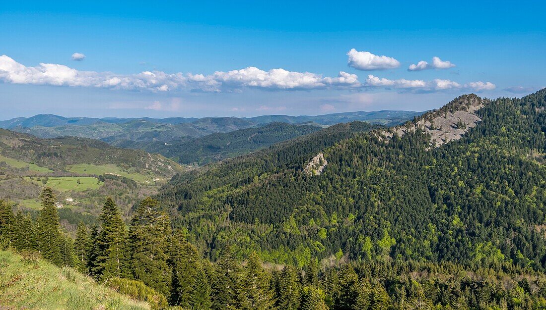 France,Ardeche,Parc Naturel Regional des Monts d'Ardeche (Monts d'Ardeche Regional Natural Park),lanscape close Boree,Vivarais,Sucs area