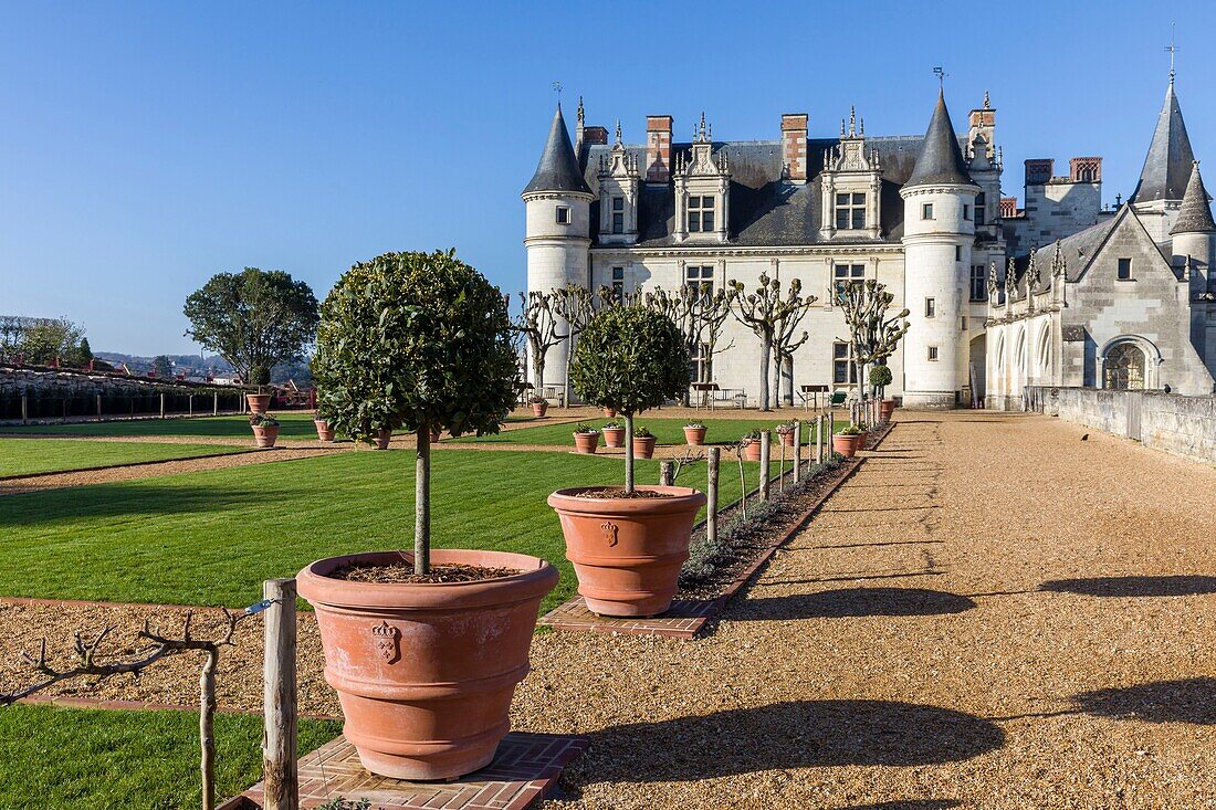 France,Indre et Loire,Loire valley listed as World Heritage by UNESCO,Amboise,Amboise castle,the castle of Amboise from the interior courtyard and the garden of Naples