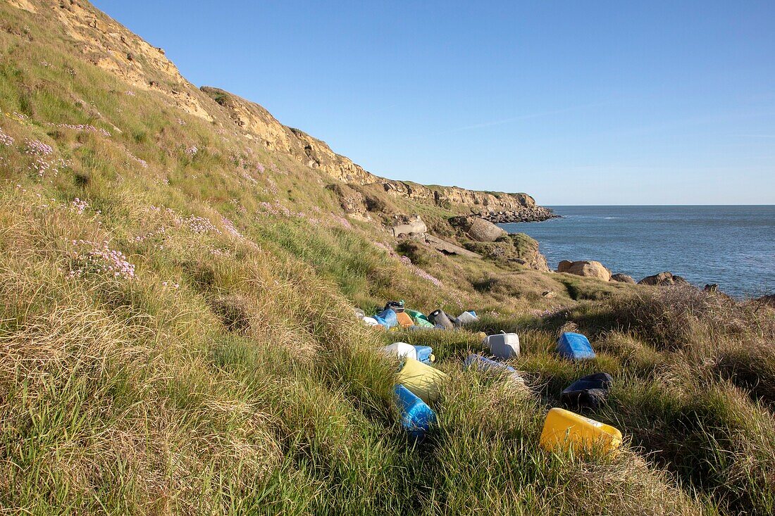 France,Pas de Calais,Cote d'Opale,Parc naturel regional des Caps et Marais d'Opale,cap gris nez,Audinghen,cans bouncing the seaside