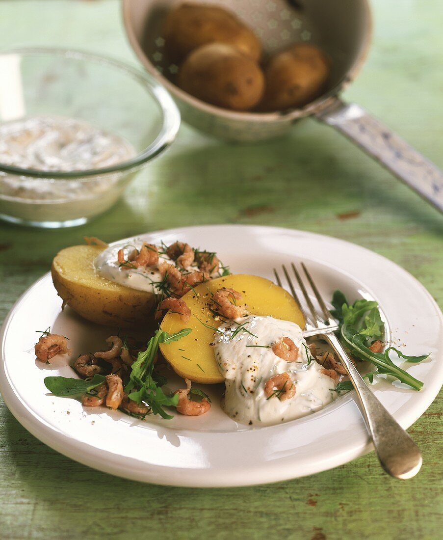 Boiled potatoes with shrimps, rocket and quark on plate