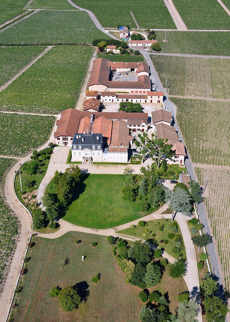 France,Gironde,Pauillac,Chateau Pontet Canet vineyard (aerial view)