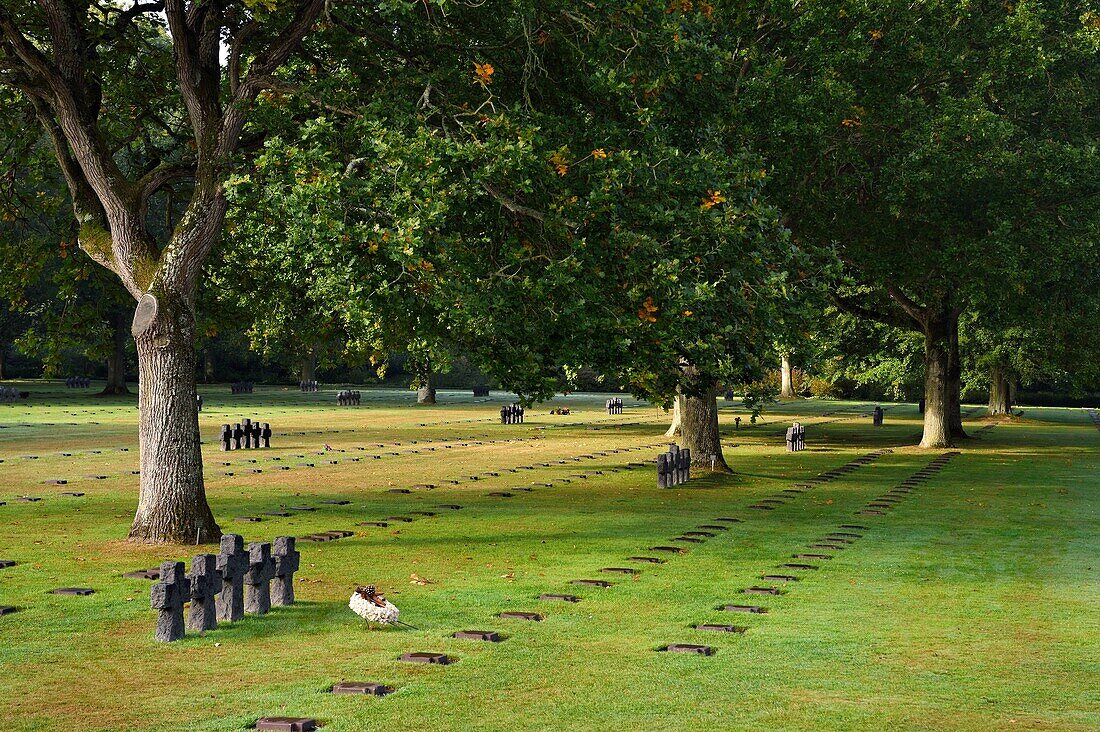 Frankreich,Calvados,La Cambe,Deutscher Soldatenfriedhof des Zweiten Weltkriegs