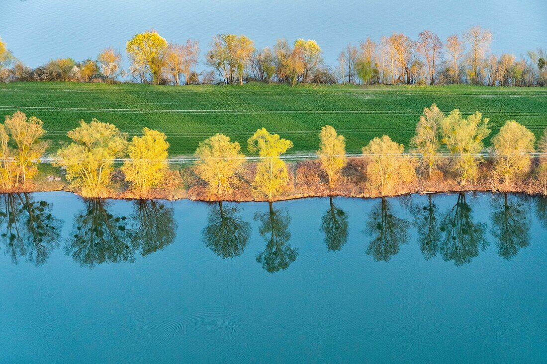 France,Eure,Bouafles,trees and their reflection in the Seine (aerial view)