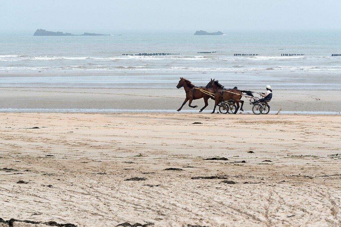 Frankreich,Manche,Cotentin,Sainte Marie du Mont,Utah Beach wo die Hauptlandung der Amerikaner am D-Day stattfand,Überreste der Landung,Pferde und Kutschen am Strand bei Ebbe