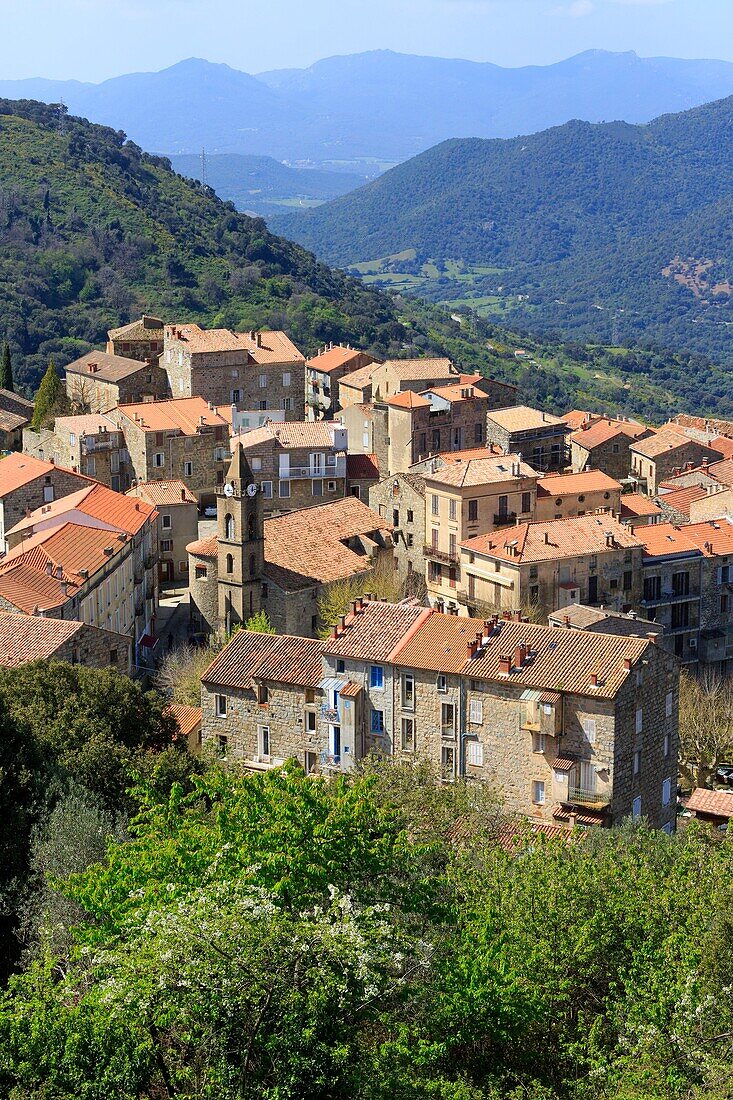 France,Corse du Sud,Alta Rocca region,Sainte Lucie de Tallano