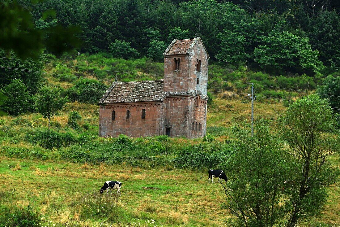 France,Bas Rhin,Ottrott,St Nicholas Chapel of Niedermunster,Sainte Marie Abbey Niedermunster located 511 meters above sea level,at the foot of Mount St,Odile was founded by St,Odile around 700 to accommodate pilgrims who could not access that of Mount St,Odile,The abbey has been classified as a historical monument since 1846