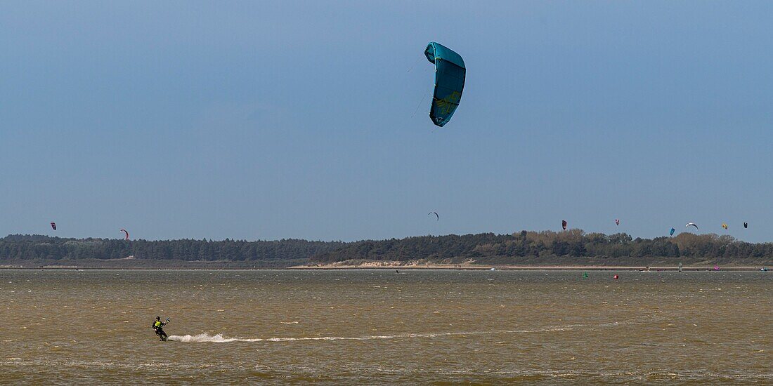 Frankreich,Somme,Baie de Somme,Saint Valery sur Somme,Kitesurfen am Strand von Le Crotoy an einem windigen Tag, gesehen von der anderen Seite der Bucht