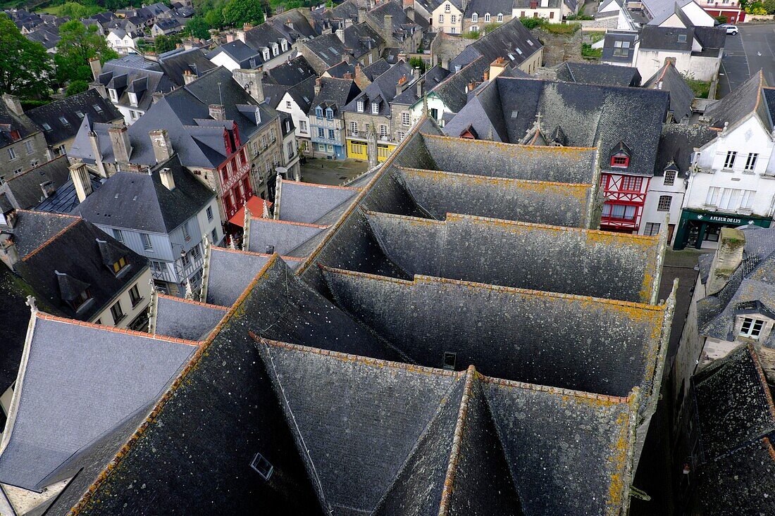 France,Morbihan,Josselin,Notre Dame du Roncier basilica,the village seen from the bell tower,half-timbered houses,roof of the church