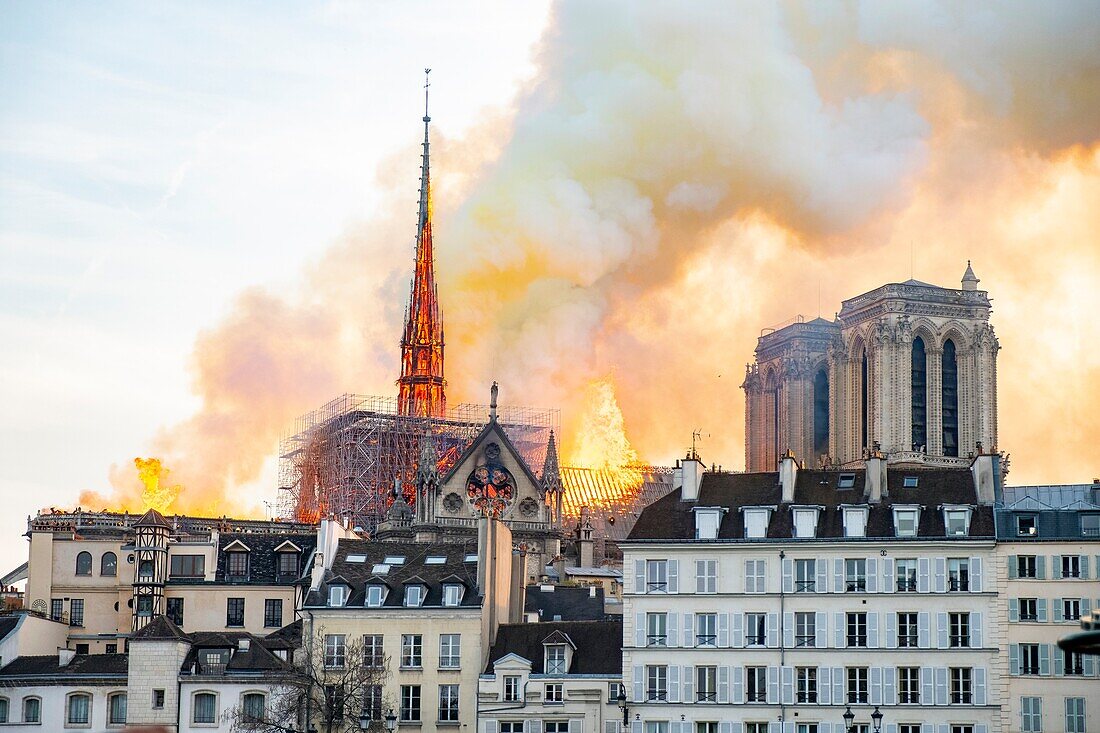 Frankreich,Paris,das von der UNESCO zum Weltkulturerbe erklärte Gebiet,Ile de la Cite,die Kathedrale Notre-Dame,der große Brand, der die Kathedrale am 15. April 2019 verwüstete