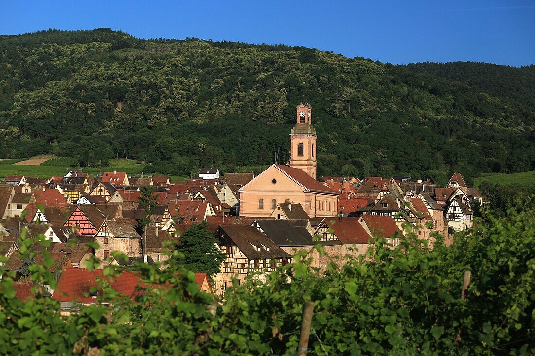 Frankreich,Haut Rhin,Route des Vins d'Alsace,Riquewihr kennzeichnet die schönsten Dörfer Frankreichs