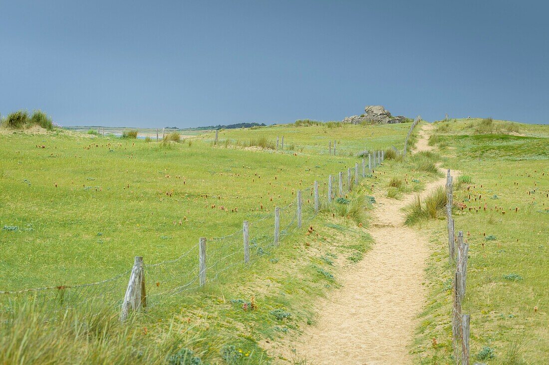 Frankreich,Morbihan,Plouharnel,die Küste von Sainte-Barbe unter einem stürmischen Himmel