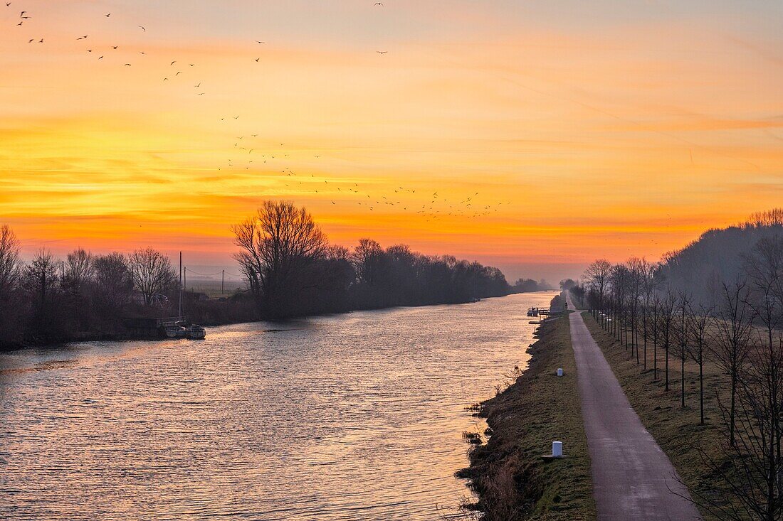 France,Somme,Somme Bay,Saint Valery sur Somme,the Somme canal near Saint Valery sur Somme at dawn