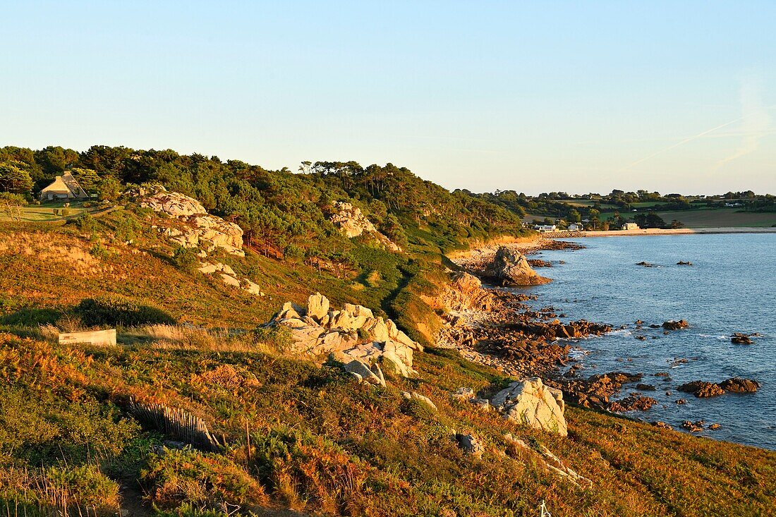 France,Finistere,Morlaix bay,Plougasnou,Pointe de Diben