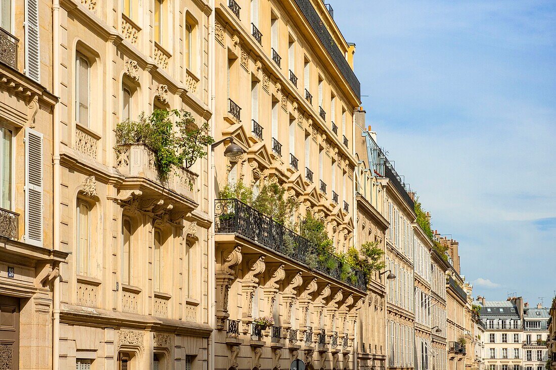 France,Paris,Haussmann buildings in the 9th arrondissement