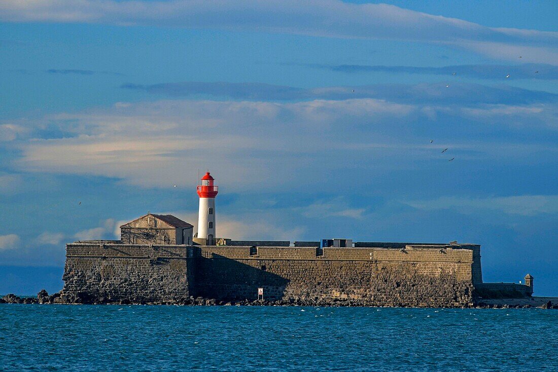 France,Herault,Agde,Cape of Agde,Brescou Fort