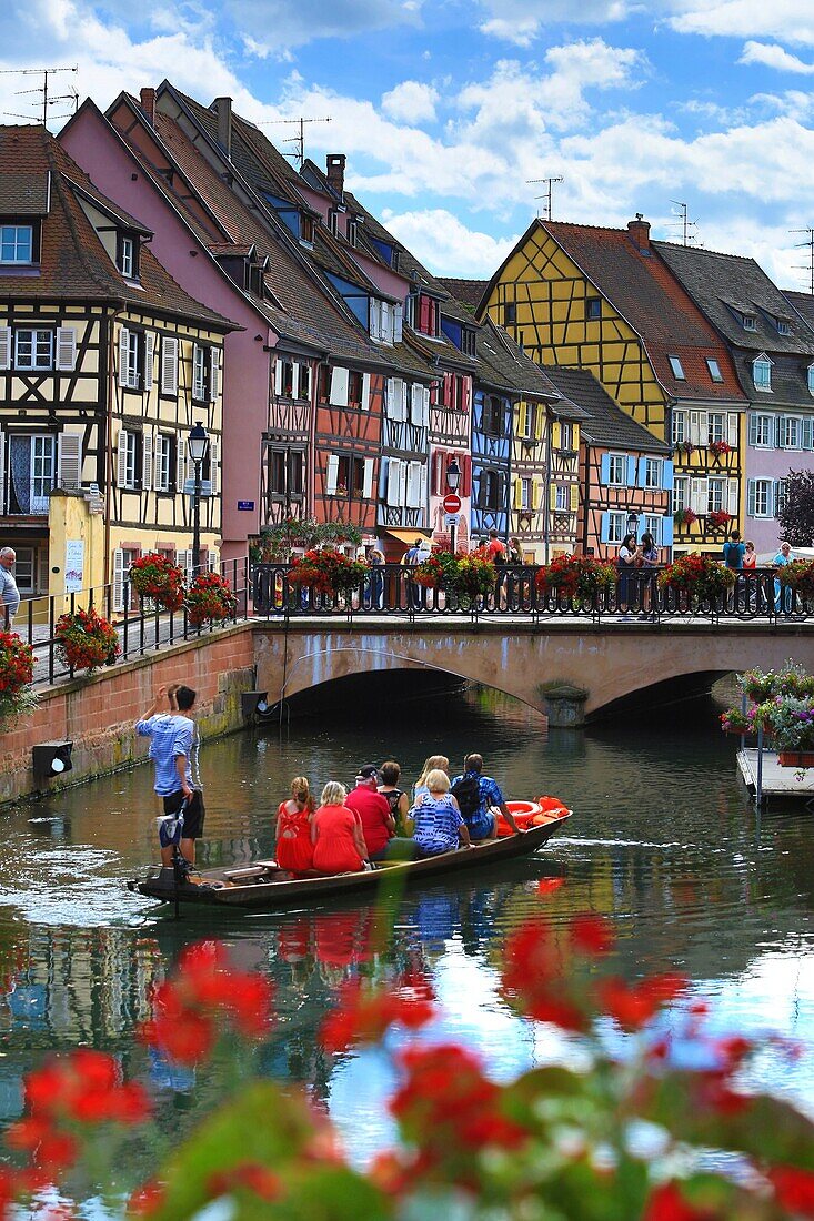 France,Haut Rhin,Colmar,Little Venice in Colmar,view of the Lauch (river) from the bridge of the rue des Ecoles