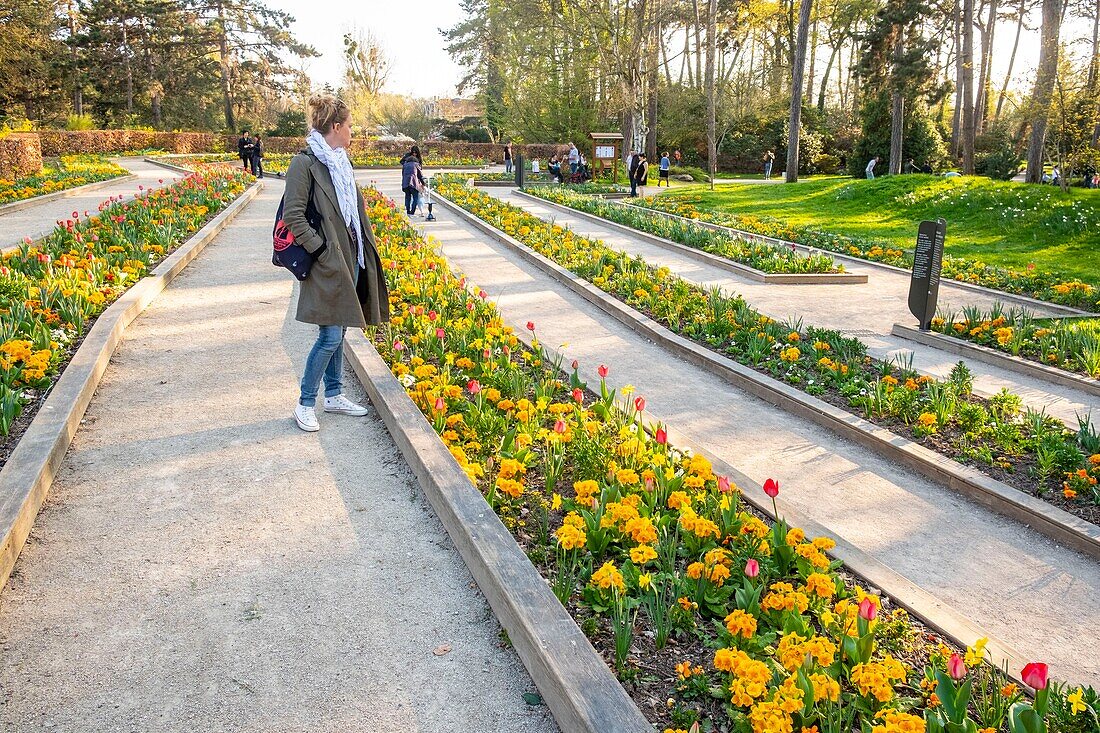 Frankreich,Paris,Bois de Vincennes,Blumenpark