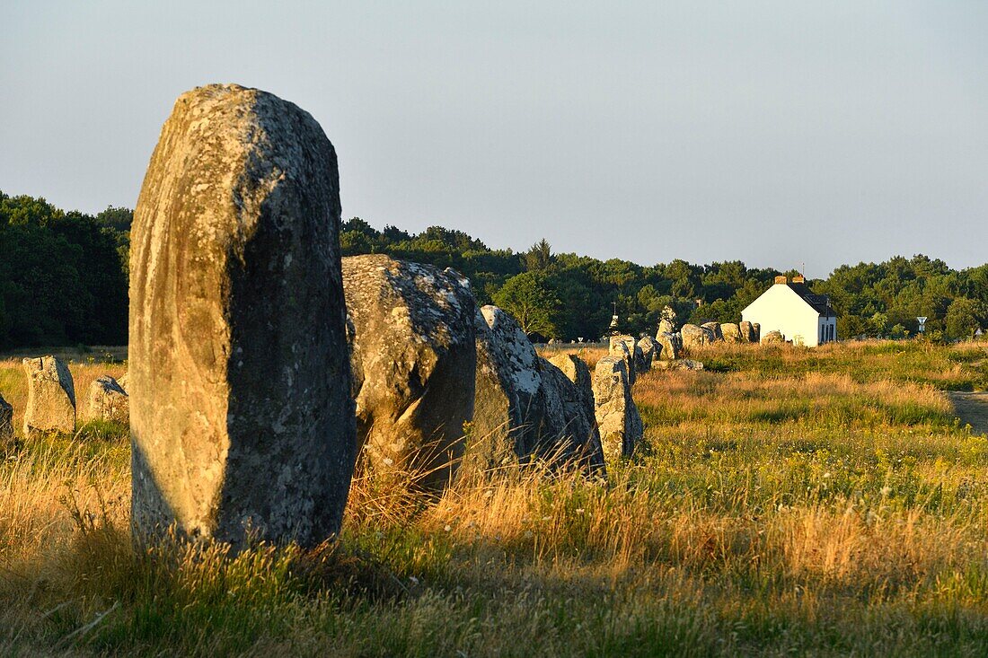 France,Morbihan,Carnac,megalithic site of Menec