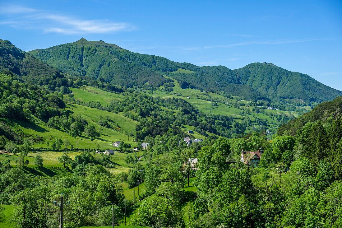 Frankreich,Cantal,Regionaler Naturpark der Vulkane der Auvergne,monts du Cantal,Cantal mounts,Mandailles Saint Julien
