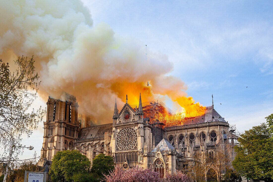 Frankreich,Paris,Gebiet, das von der UNESCO zum Welterbe erklärt wurde,Ile de la Cite,Kathedrale Notre Dame de Paris,Brand, der die Kathedrale am 15. April 2019 verwüstet hat