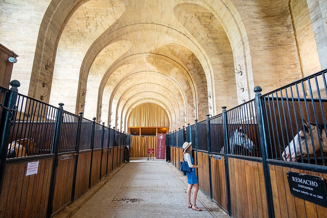 France,Oise,Chantilly,the castle of Chantilly,the Grandes Ecuries (Great Stables)