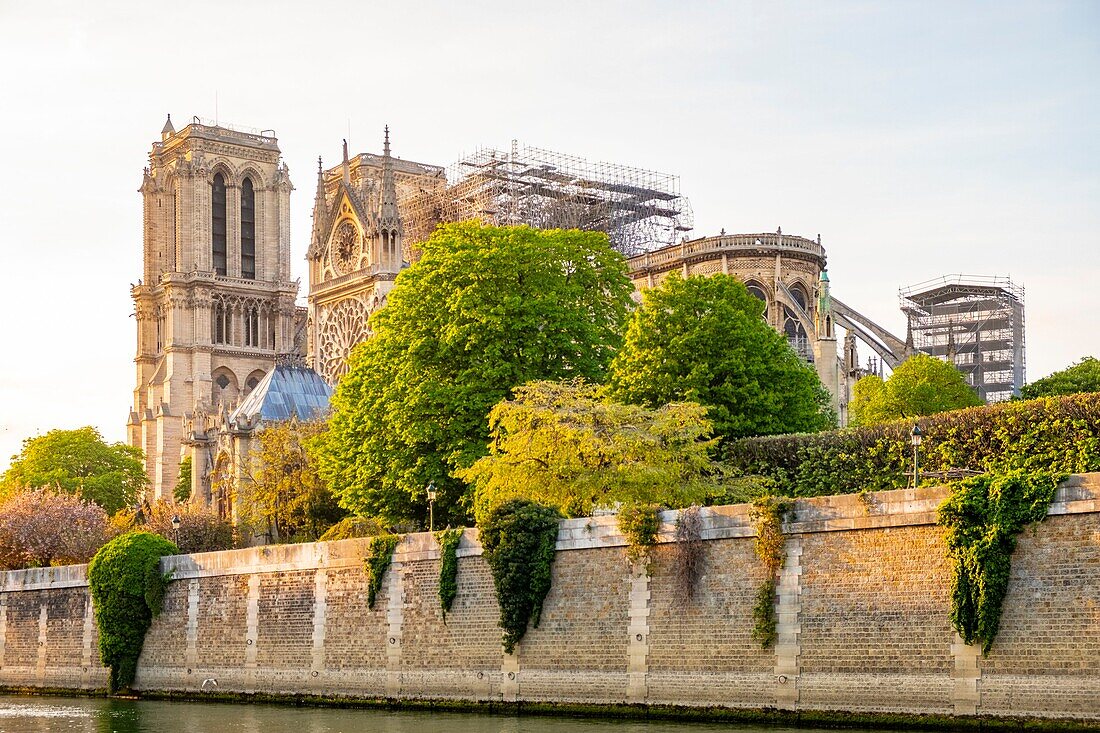 Frankreich,Paris,Gebiet, das von der UNESCO zum Weltkulturerbe erklärt wurde,Ile de la Cite,Kathedrale Notre Dame nach dem Brand vom 15. April 2019
