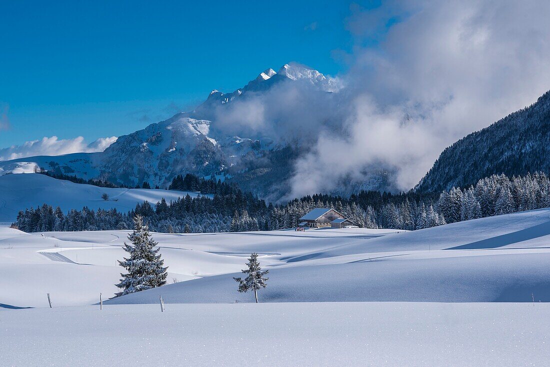 France,Haute Savoie,Bornes massif,Glieres plateau,view of the plateau valleys,alpine farm under the snow and Jalouvre peak