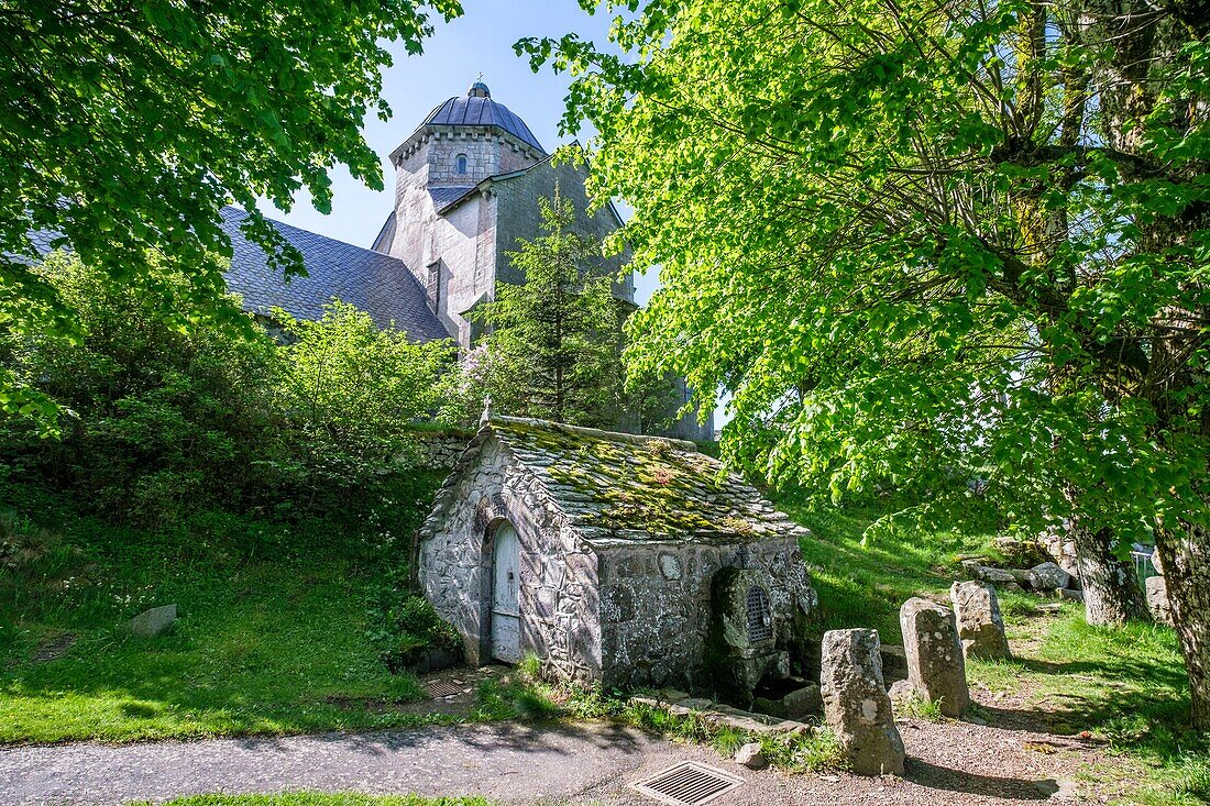 France,Cantal,Regional Natural Park of the Auvergne Volcanoes,monts du Cantal (Cantal mounts),vallee de Cheylade (Cheylade valley),Saint Hippolyte,chapel of the Font Sainte,the source and the oratory