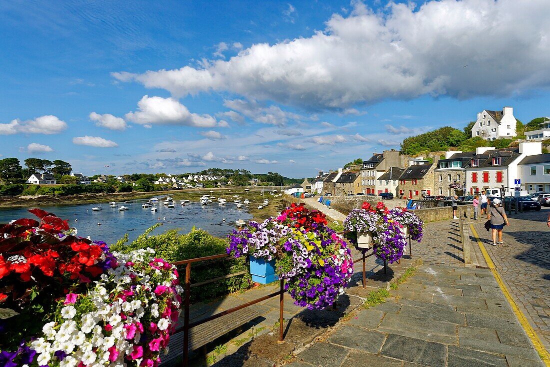 France,Finistere,Iroise see,Armorique Regional natural park,Le Conquet,the harbour