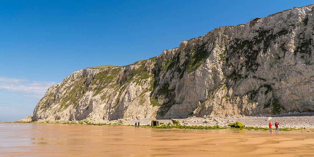 France,Pas de Calais,Opal Coast,Great Site of the two Caps,Escalles,Cap Blanc nez,the beach of Escalles and the cliffs of Cap Blanc Nez