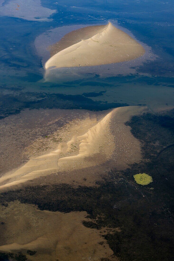 France,Gironde,Bassin d'Arcachon,La Teste de Buch,Pyla sur mer,Dune du Pilat,sandbank at low tide (aerial view)