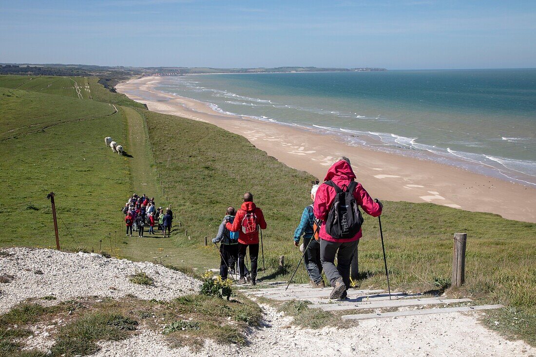 France,Pas de Calais,Cote d'Opale,Parc naturel regional des Caps et Marais d'Opale,Cap Blanc Nez,hikers on the coastal GR