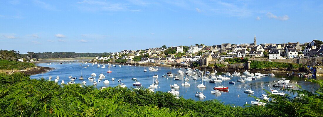 France,Finistere,Iroise see,Armorique Regional natural park,Le Conquet,the harbour