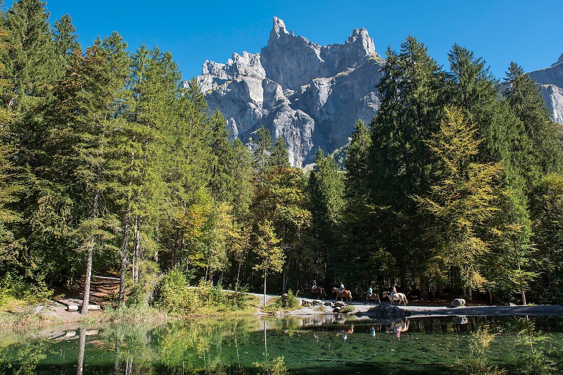 France,Haute Savoie,Sixt Fer a Cheval,equestrian hike to Plan lake and the Chamois Horn mountains (2562m) and Tenneverge peak (2836m)