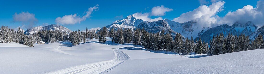 Frankreich,Haute Savoie,Bornes-Massiv,Plateau des Glieres,Panoramablick auf die Langlaufloipen im nordöstlichen Teil des Plateaus,die Felsen von Leschaux und der Gipfel des Jalouvre