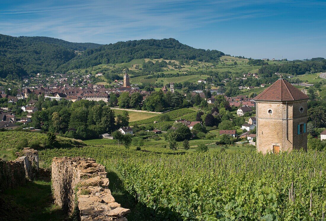 Frankreich,Jura,Arbois,Gesamtansicht der Stadt mit Weinbergskrone und dem Canoz-Turm